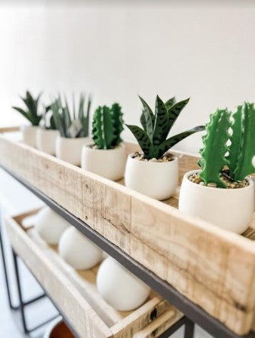 Faux Succulent in White Pot