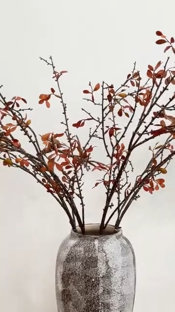 Wine Burgundy Leaf Branch