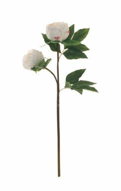 23" White Peony Stem