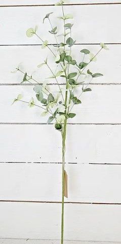 32in Silver Dollar Eucalyptus Branch
