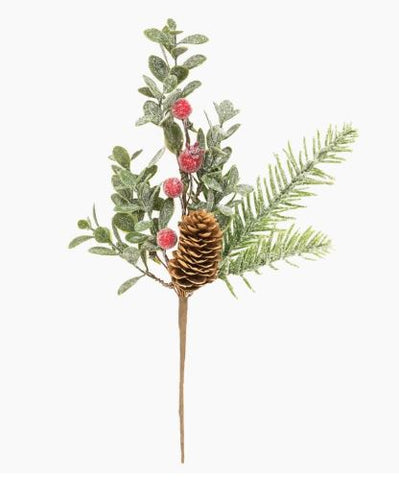 Sugar Berry Pine