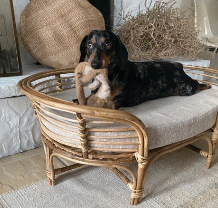 Rattan Dog Bed with Cotton Cushion