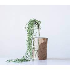 41" String of Pearls